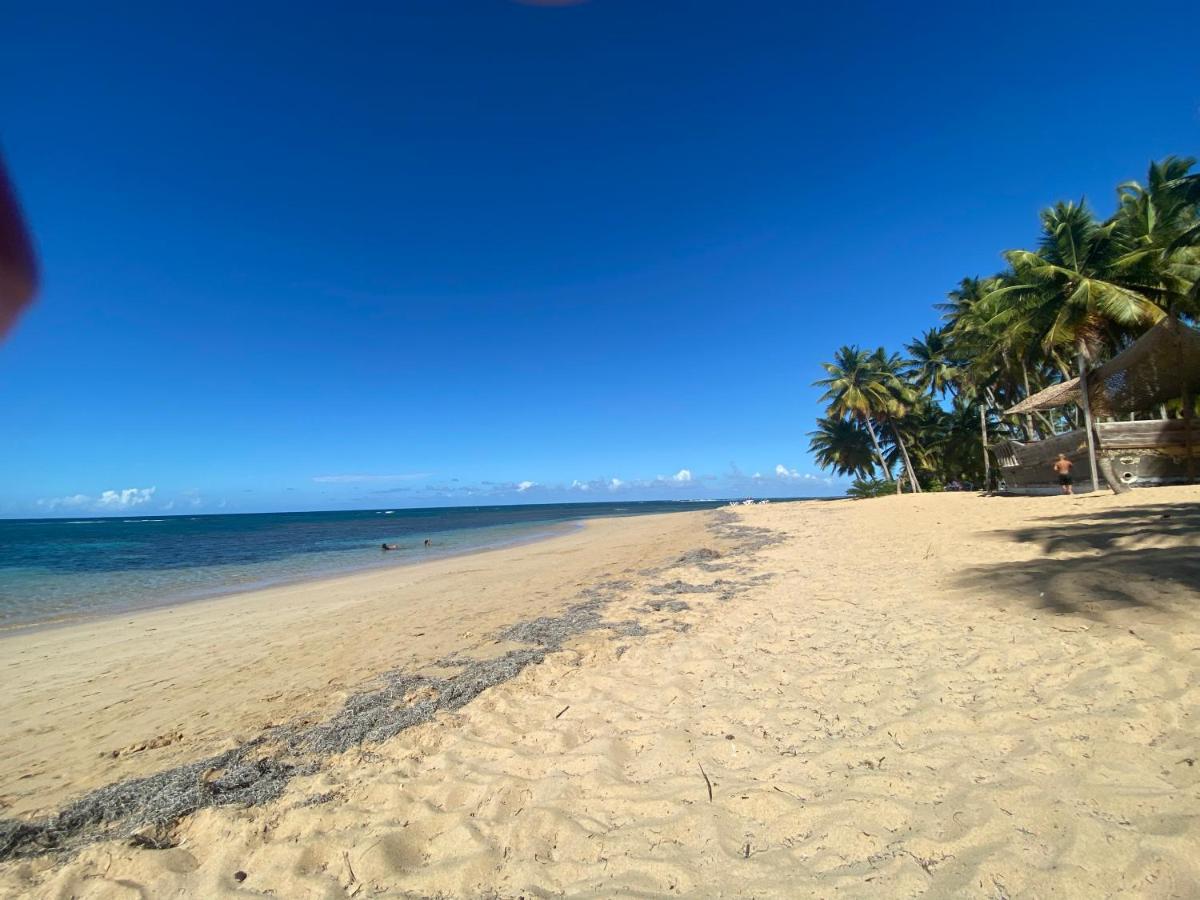 Las Terrenas Beachfront 2 Bedrooms Condo With Pool Екстер'єр фото